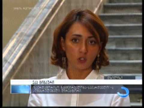 ვის უნდა ჰქონდეს ფარულ ოპერატიულ მასალებზე წვდომა? - შეხვედრა პარლამენტში