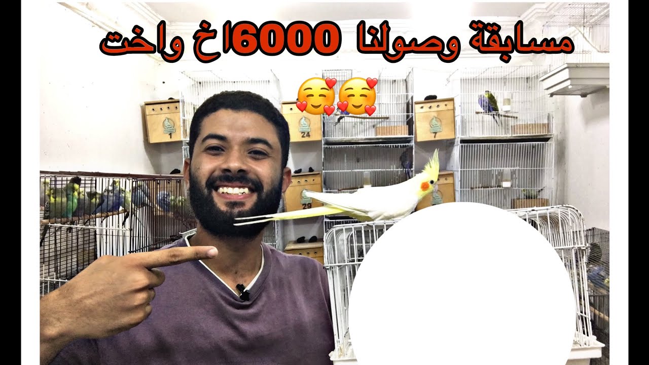 مسابقة وصولنا ل6000 اخ واخت 🥰🥰 سحب علي عصافير ببلاش💪
