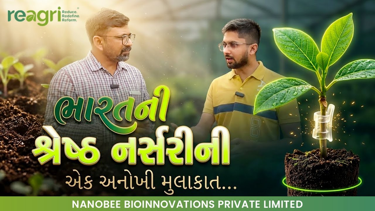હાઇ-ટેક નર્સરીની A to Z પ્રોસેસ: ગ્રાફ્ટિંગ ટેક્નોલોજી અને હાર્ડનિંગ | CB Nursery રાયપુરની મુલાકાત