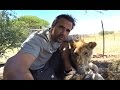 How Does Kevin Spend His Time? | The Lion Whisperer