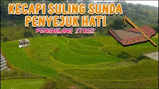 Kecapi Suling Sunda Paling Merdu Penyejuk Hati Penghilang Stres,Dengan Pemandangan Sawah Indah #2