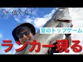 低ぐら!番外編 真夏のライト青物&シーバスゲーム(隠岐)(青物)(スーパーライトショアジギング)(シーバス)(トップゲーム)
