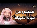 الشيخ نبيل العوضي قصص الانبياء وكيف نصر الله عباده المؤمنين وهزم المكذبين الجزء الرابع