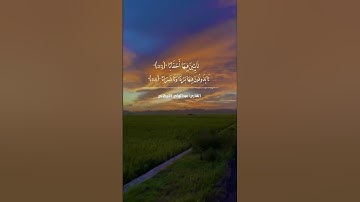 ﴿إِنَّ يَومَ الفَصلِ كانَ ميقاتًا﴾ سورة النبأ #عبدالولي_الاركاني #abdulwali_alarkani