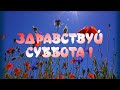 24 июня Желаю Чудесного Субботнего Дня🥰Великолепного Настроения🎶Очень красивая музыка Андрея Обидина