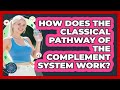 How Does The Classical Pathway Of The Complement System Work? - All About the Immune System