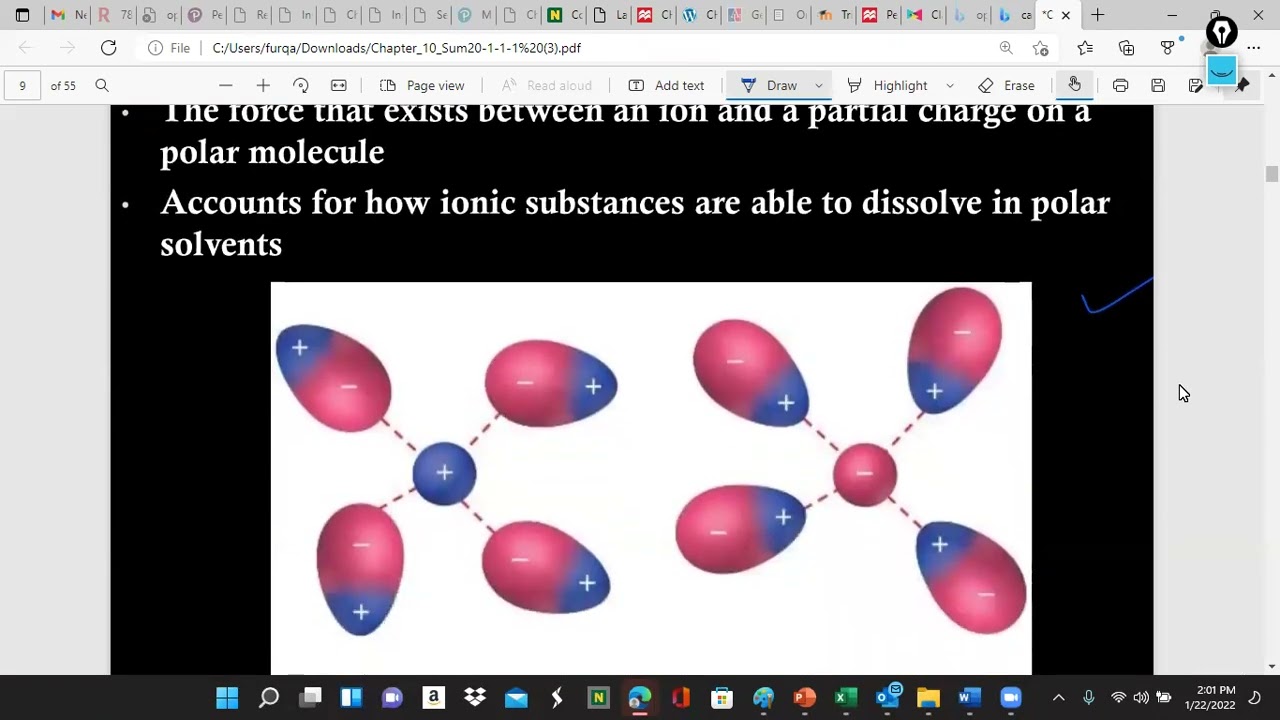 Sami's IMFs 112 Spring 2022