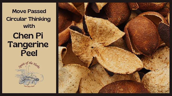Chen Pi Tangerine Peel Gets Things Moving | Herb o...