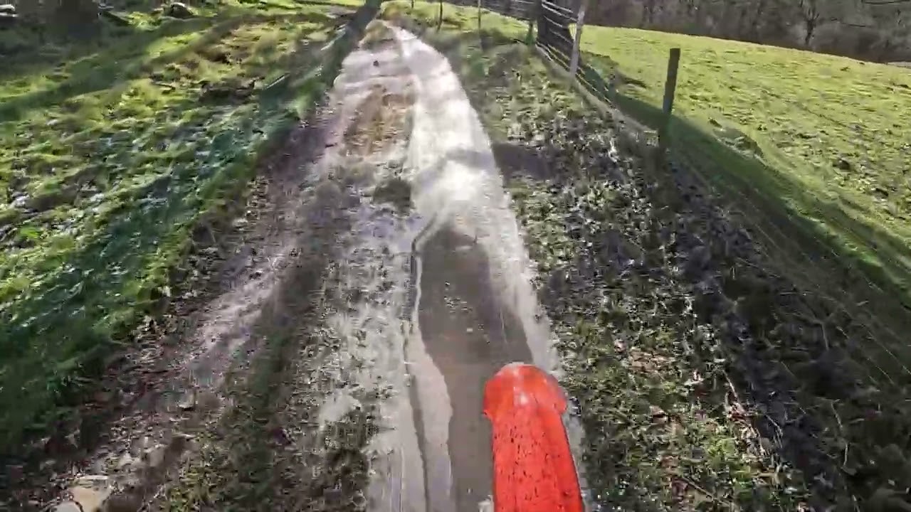 mold on a cold morning feb 26