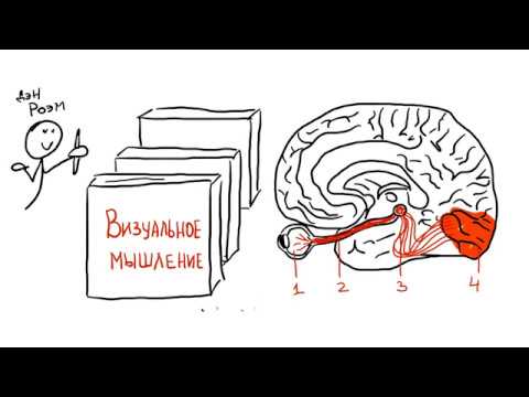 Введение в курс "Практика визуального мышления" Введение в курс "Практика визуального мышления"