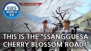 BEAUTIFUL♥  Woojin X Jihoon walk by the Cherry blossom flowers!! [Battle Trip/2018.05.20]