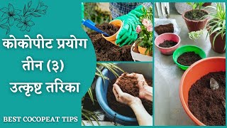 के तपाईंलाई थाहा छ? || कोकोपीट (Cocopeat) प्रयोग गर्ने सही तरिका || Cocopeat || Best Cocopeat Use