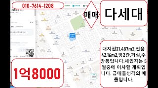 신월동 전세 1억1000만원의 다세대주택으로 방2, 주방, 거실, 욕실 등입니다. 2025년 3월 5일