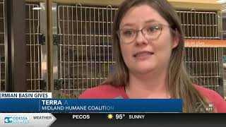 Permian Basin Gives: Midland Humane Coalition