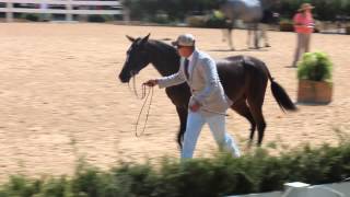 Gaze At Me 2nd jog, handled by Brandon Gibson