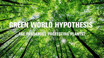 Have you ever wondered why our world is green?