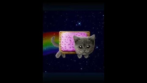 Nyan cat