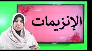 الإنزيمات