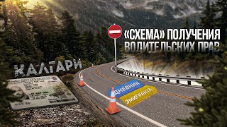 "Схема" получения водительских прав Калгари Канада