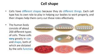 Introduction to cell biology (part 2)
