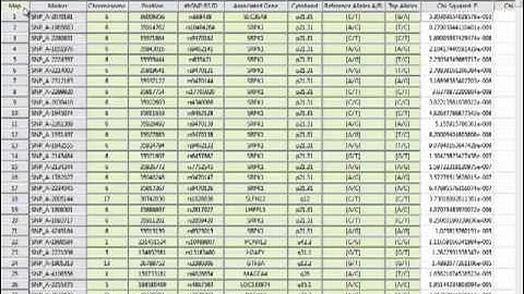 Genome-Wide SNP Association