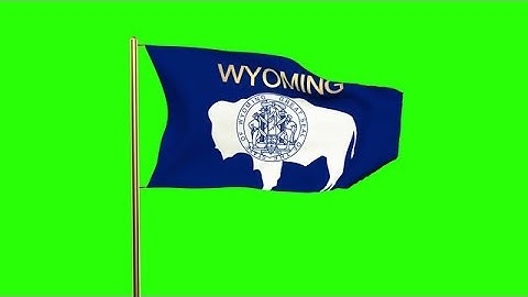 Wyoming Flag With Title Waving In The Wind. Looping Sun Rises Style. Animation L Stock Animation