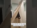 Brave cat scales the shower curtain summit 🏔️ #funny  #shorts