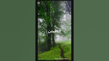 القارئ طارق محمد سوره الفرقان