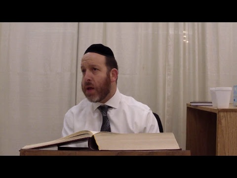 Chullin 83 with Rabbi Shmuel Silber