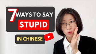 How To Say Stupid in Chinese - 7 Chinese words to call someone stupid screenshot 5