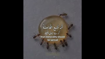 سورة النور: ١٩|An Noor: 19|أحمد خضر|Ahmed Khedr|قرآن اردو ترجمہ| Quran with Urdu Translation