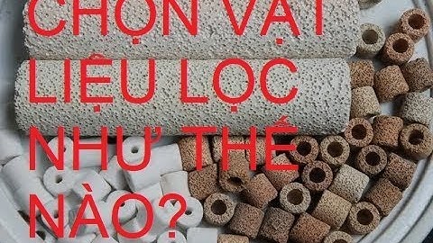Hồ cá vàng, cá ranchu - Chọn vật liệu lọc như thế nào?