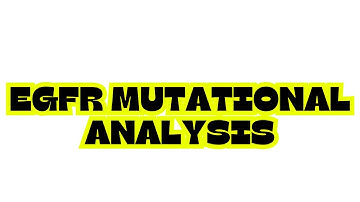EGFR MUTATIONAL ANALYSIS