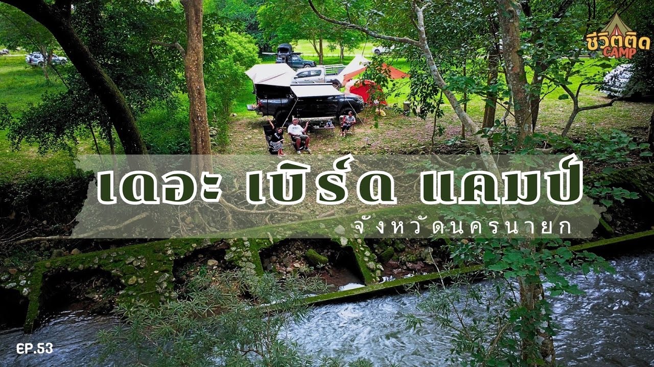 เดอะเบิร์ด แคมป์ ลานกางเต็นท์ นครนายก กางเต็นท์ริมน้ำ คลองมะเดื่อ | EP.53 @ชีวิตติด Camp