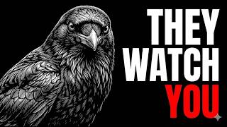 Why You Should Be Terrified of Crows