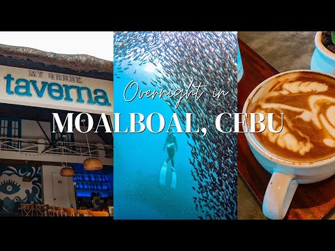 Download OVERNIGHT IN MOALBOAL, CEBU: Coffee, Food, and Freedive with the Sardines