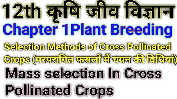 Selection Methods of Cross Pollinated Crops || परपरागित फसलों में चयन की विधियां || Mass Selection