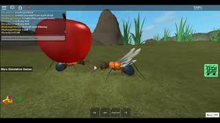 How To Get Fruits On Ant Sim Roblox Youtube - roblox ant simulator how to get fruit