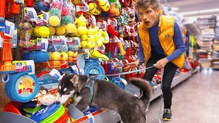 Buying Everything My puppy Touches!