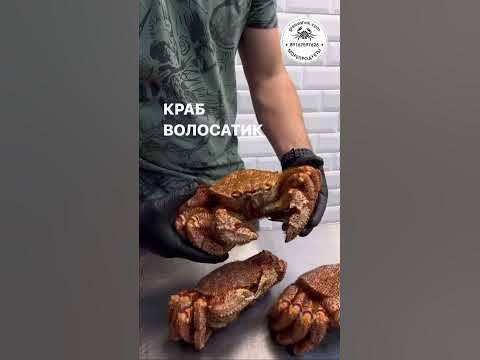 Морские деликатесы в Москве - YouTube