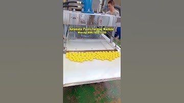 Automatic Pastry Forming Machine | Bean Cake Making Machine | How to Make Mung Bean Cake