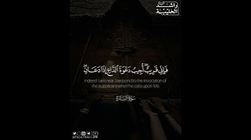 ﴿وإذا سألك عبادي عني فإني قريب أجيب دعوة الداع إذا دعان ..﴾ | القارئ: راشد الحليبة