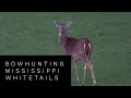 Bowhunting Mississippi Whitetails at Hollis Farms
