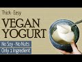 Easy Thick Vegan Yogurt | Soy Free | Nut Free | High in Protein | Only 1 SINGLE INGREDIENT
