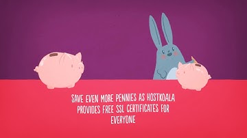 Cheap cPanel Web Hosting @ HostKoala.com