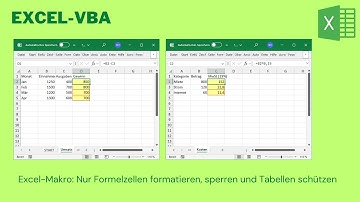 Video 448: Excel schützt sich selbst – Formeln automatisch sperren & markieren! 🔒💛