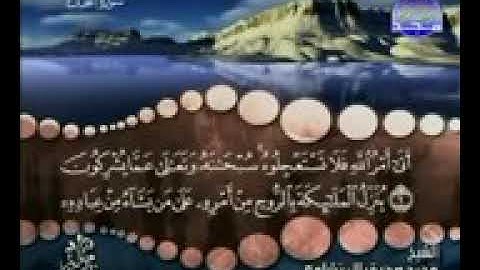 سورة النحل كاملة ترتيل الشيخ محمد صديق المنشاوي مرتل