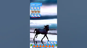 سبحان من خلق وسوي 