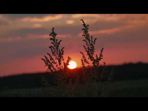 Svarog Light За мить настане ніч 2024