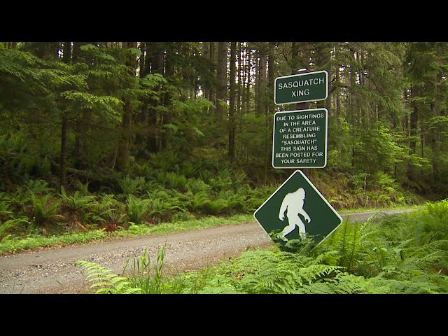 Pacific Nw Bigfoot 